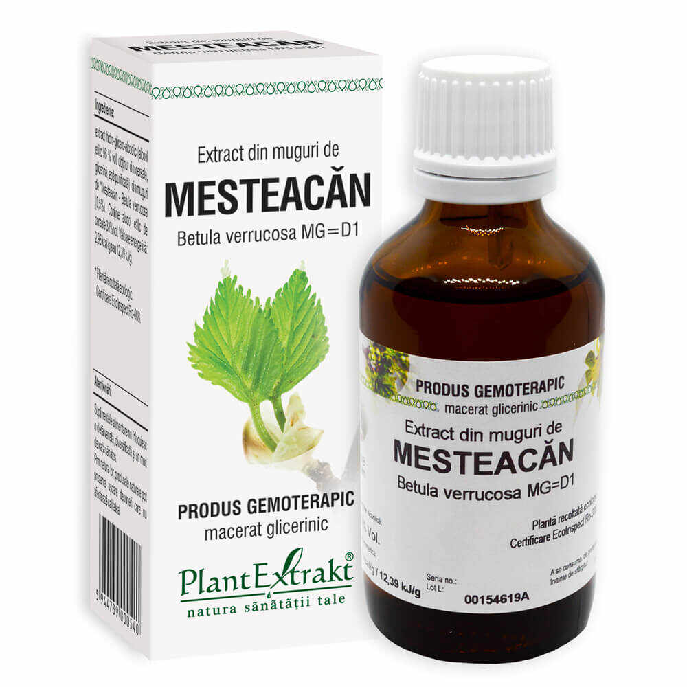 Extract din muguri de Mesteacăn, PlantExtrakt, 50 ml