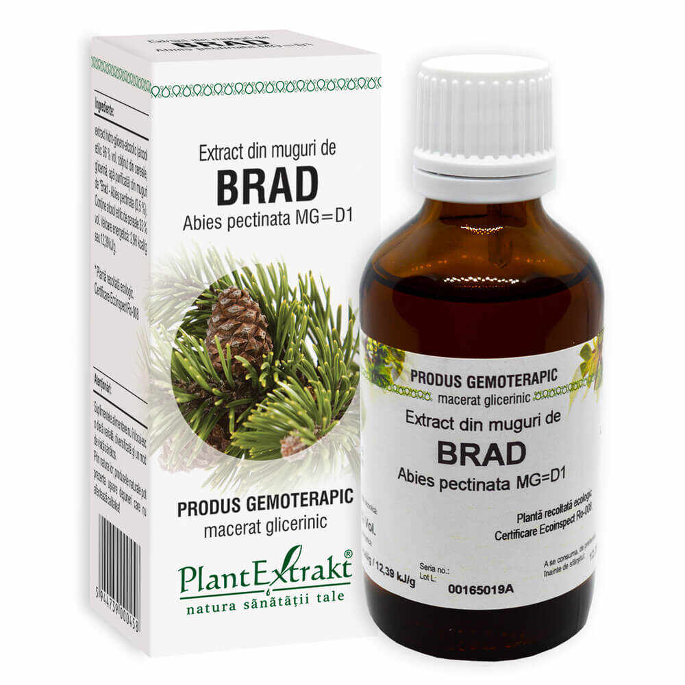 PlantExtrakt Extract din muguri de Brad 50 ml