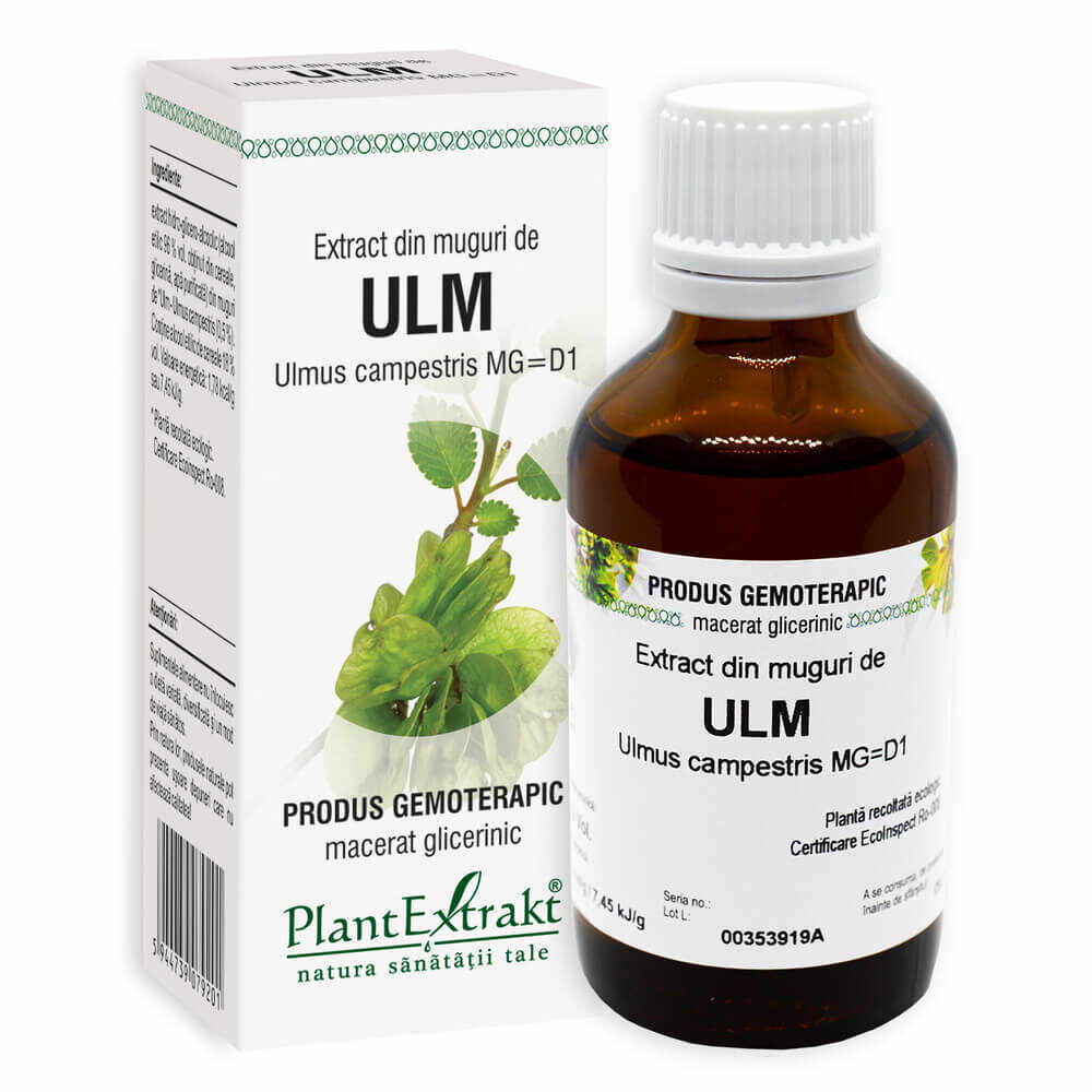 PlantExtrakt Extract din muguri de Ulm 50 ml