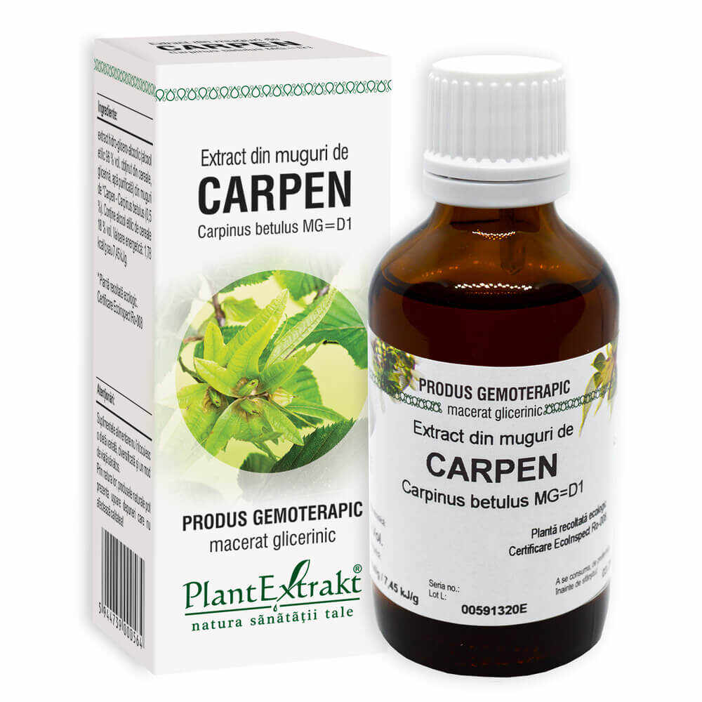 Extract din muguri de Carpen (Carpinus Betulus), PlantExtrakt, 50 ml