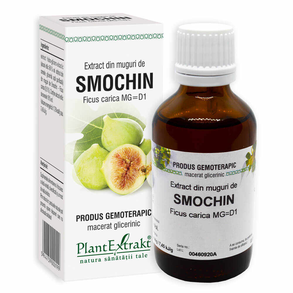 Extract din muguri de Smochin pentru sistemul digestiv, PlantExtrakt, 50 ml
