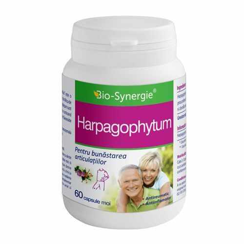 Harpagophytum, 60 cps | Bio-Synergie Activ