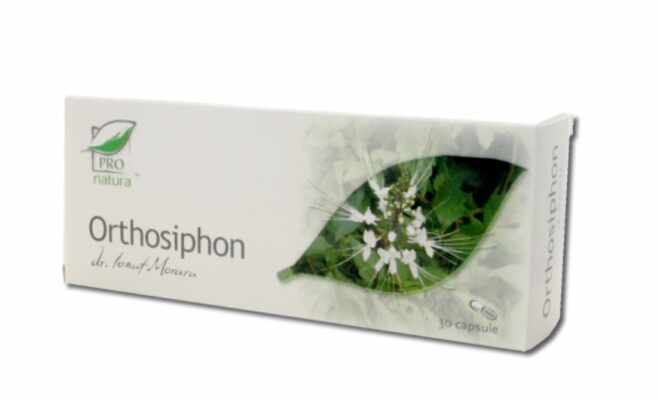 Orthosiphon, 200cps, 60cps si 30cps - MEDICA 200 capsule
