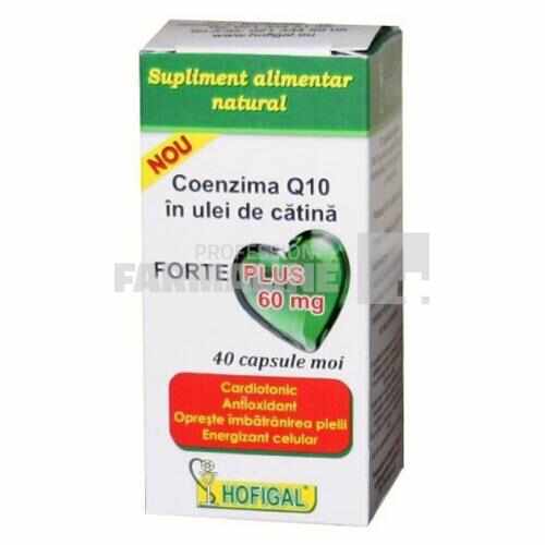 Coenzima Q10 in ulei de catina Forte Plus 60mg 40 capsule