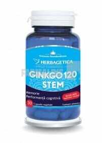 Ginkgo 120 Stem 30 capsule