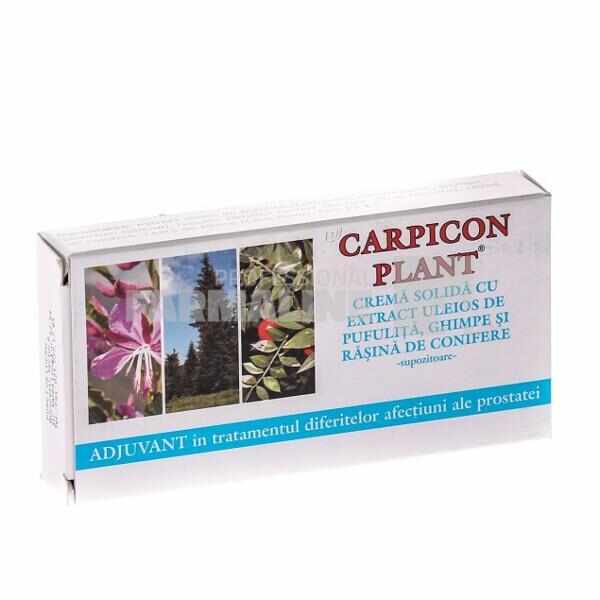 Carpicon Plant Crema solida cu extract de pufulita, ghimpe si rasina de conifere 10 bucati