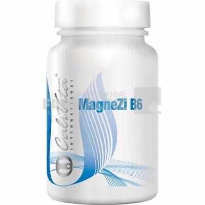 MagneZi B6 90 tablete