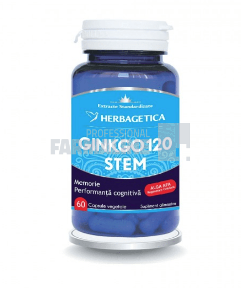 Ginkgo 120 Stem 60 capsule