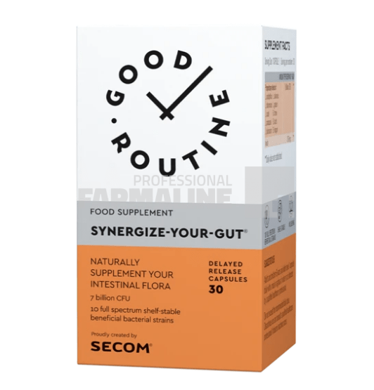 Synergize Your Gut - Good Routine 30 capsule