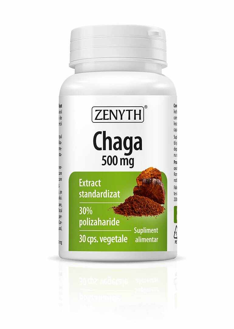Chaga, 500 mg, 30 capsule, Zenyth