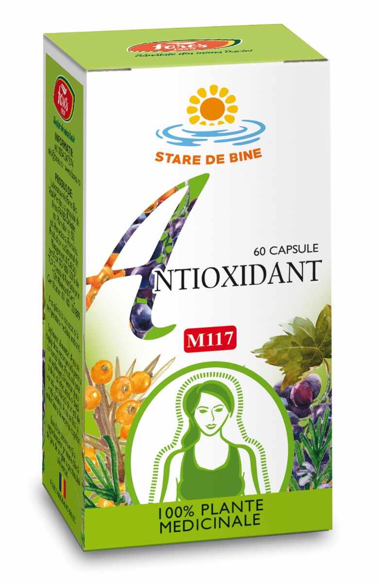 Antioxidant, 60 capsule, Fares