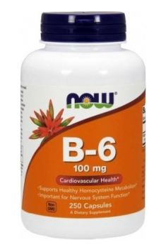 Now B-6 100 mg 250 caps