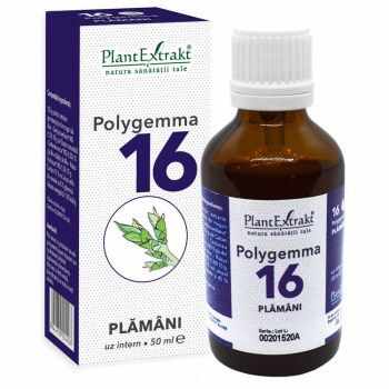 POLYGEMMA Nr.16 (Plămăni - Detoxifiere), 50ml | Plantextrakt