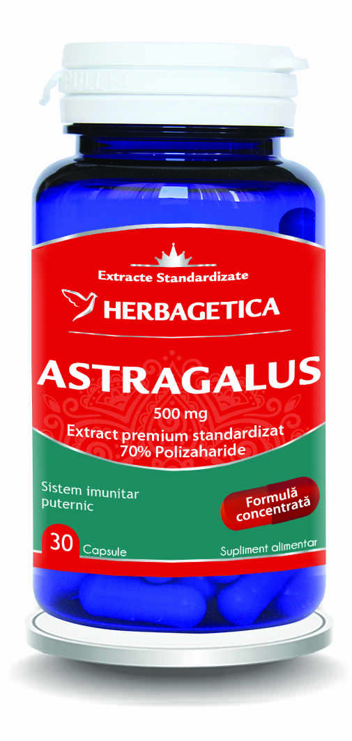 Astragalus 500mg cu 70% Polizaharide, 30 capsule, Herbagetica