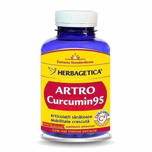 Artro Curcumin95 120cps Herbagetica