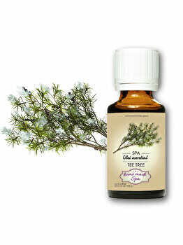 Ulei esential de Tea Tree (Melaleuca Alternifolia) 20 ml, Homemade Spa