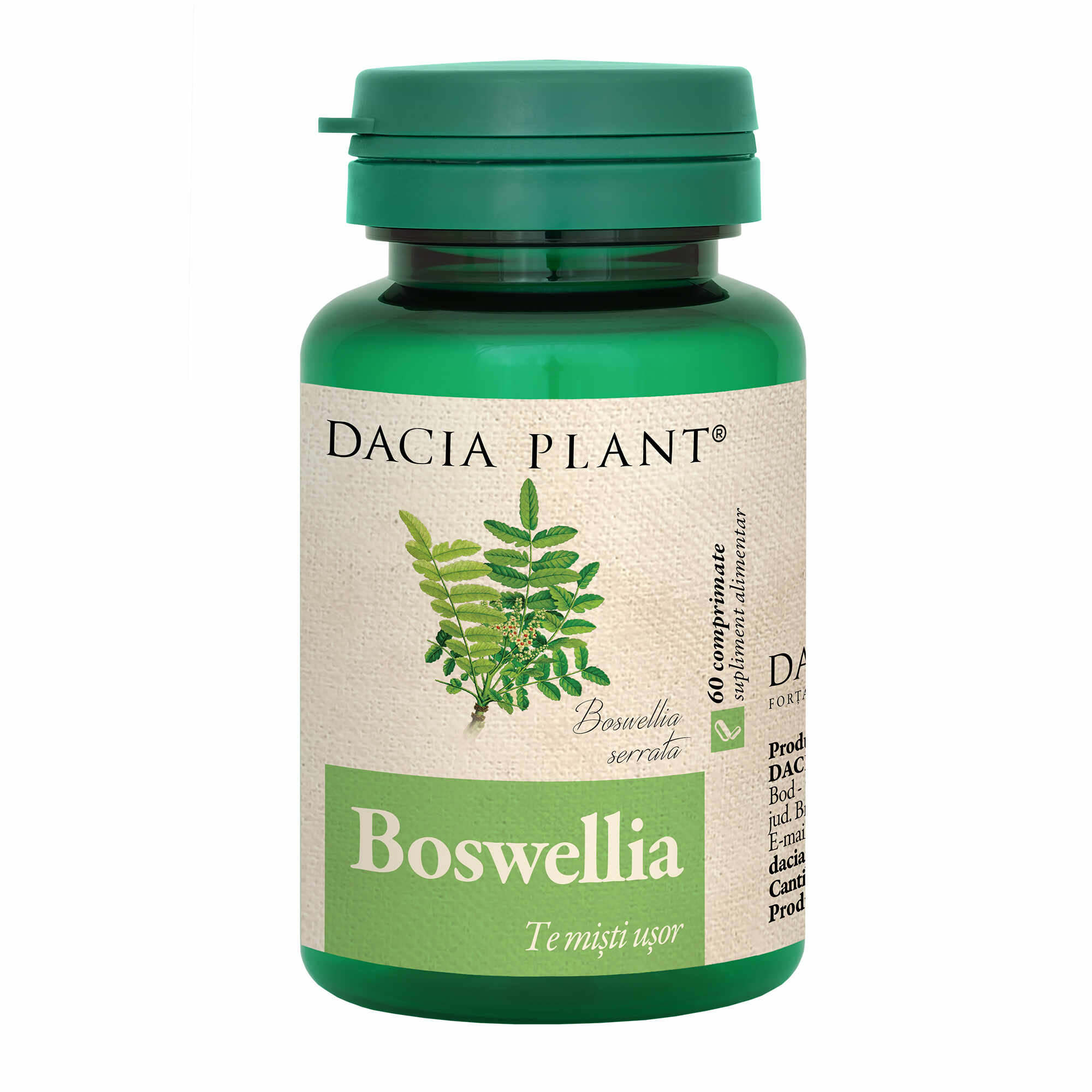 Boswellia comprimate